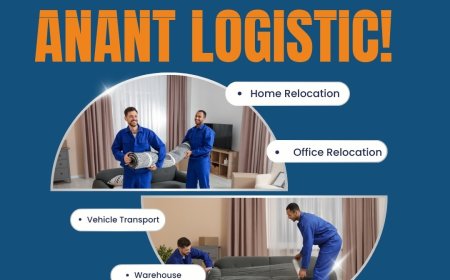 Stress-Free Moves with Top Packers and Movers East Delhi – Anant Logistic