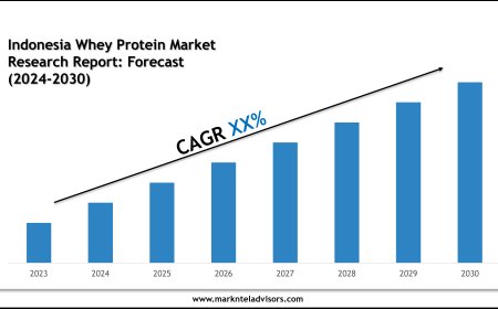 Future of Indonesia Whey Protein Market: Size, Growth & Key Players like Muscle Feast