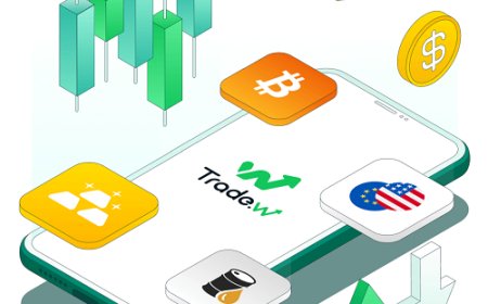 Best Forex Trading Platforms: Practice with Tradewill’s Demo Account