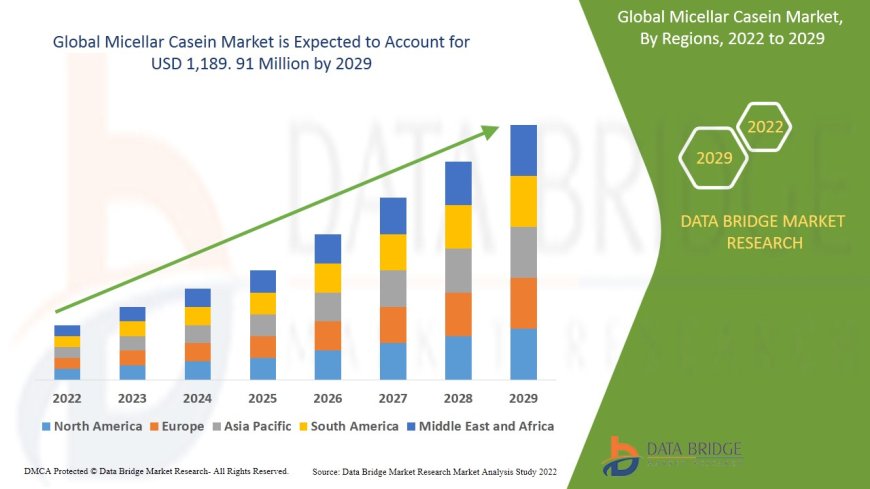 Micellar Casein Market Overview: Key Drivers and Challenges