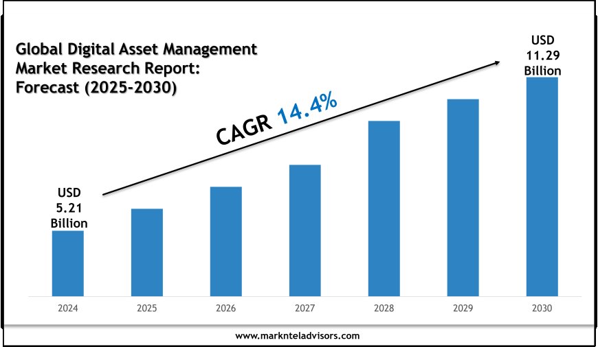 2025–2030 Digital Asset Management Industry Outlook: Trends Led by Frontify AG, North Plains