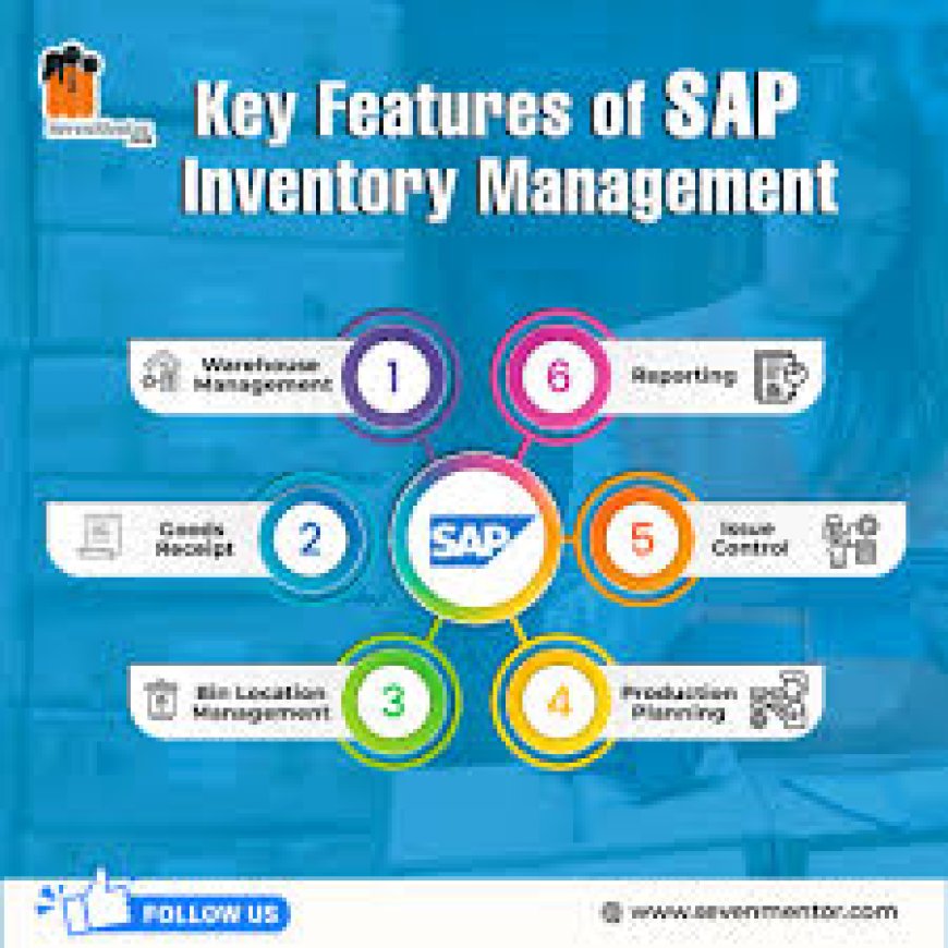 How Often Does SAP Release Updates?