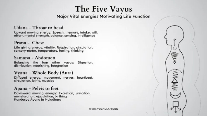 Understanding the Vital Energy: A Comprehensive Look at the Definition of Prana