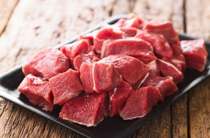 Discover the Best Fish Meat Shop Electronic City Phase 1