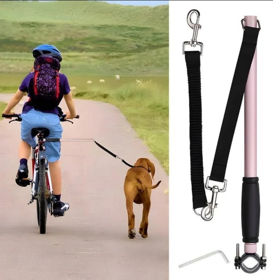 Laisse Chien Velo: La Révolution Canine Signée Chienalafolie