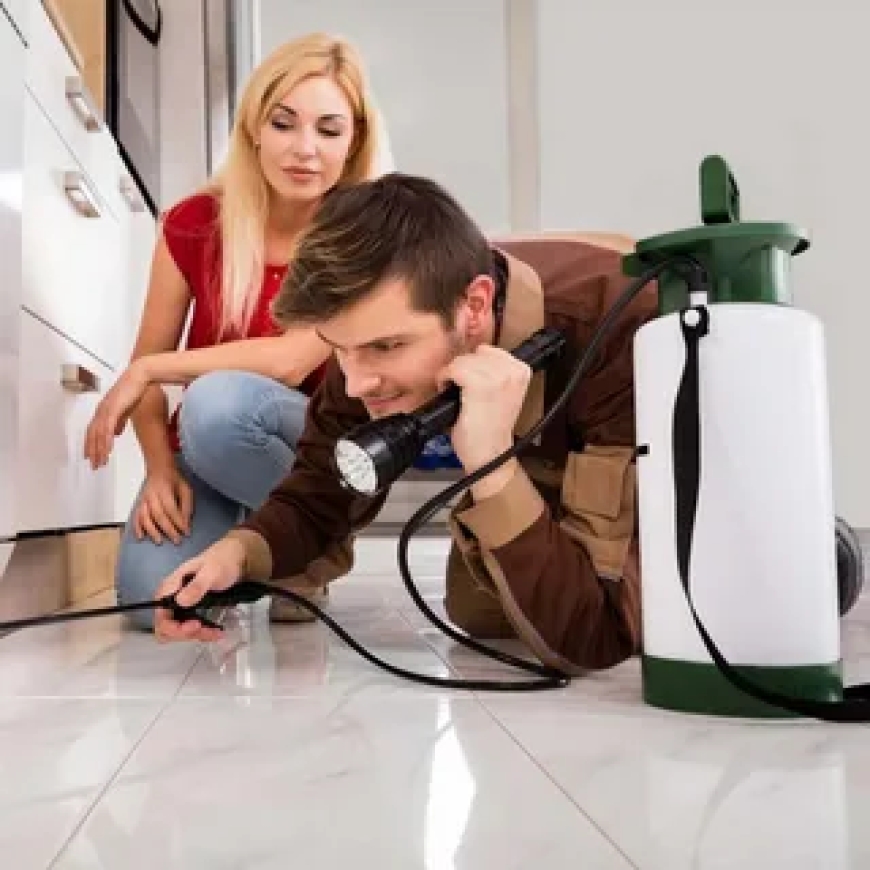 Exterminator Near Me: Choosing a Trusted Expert